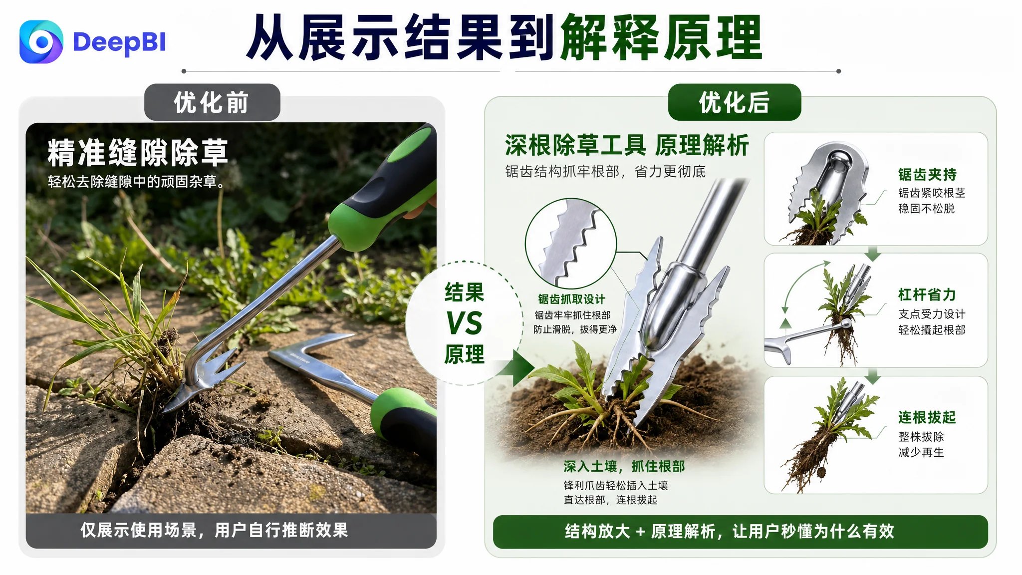 IMG_03